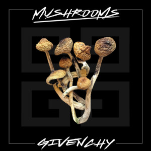 грибы псилоцибиновые